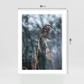 Plakat bez ramy 30x40 - Zima na Łonie Natury - sucha wysoka trawa, w zimie