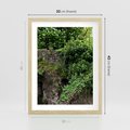 Plakat w ramie 30x40 - Żywiołowa Zieleń - mur, liście - rama drewno