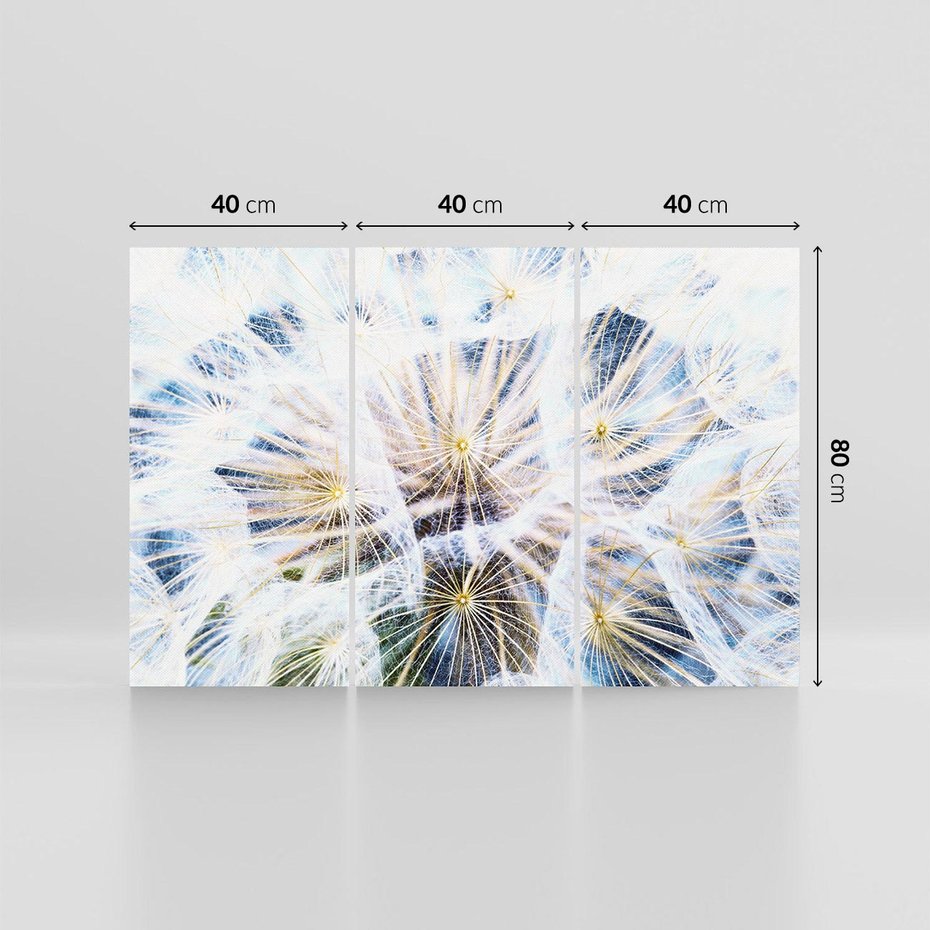 Obraz na płótnie 120x80 - marzenia w locie - dmuchawce, dmuchawiec