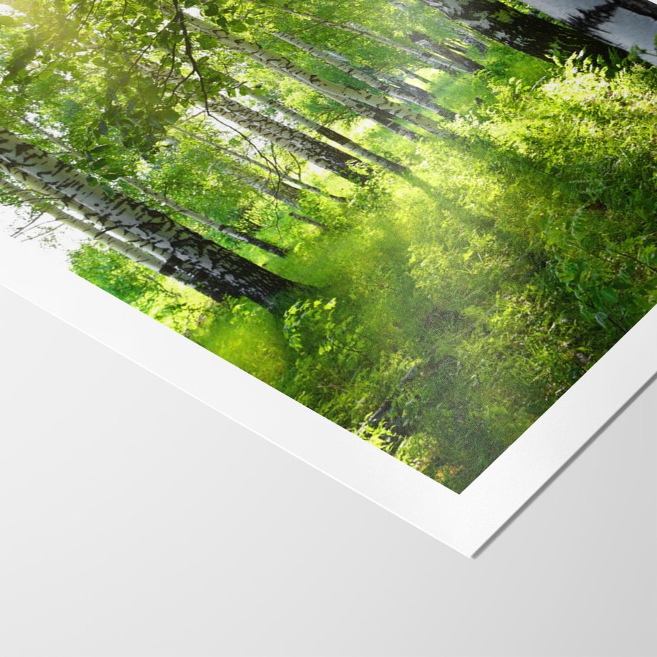 Plakat bez ramy 21x30 - Lasowa Księżycowa Noc - las, drzewa