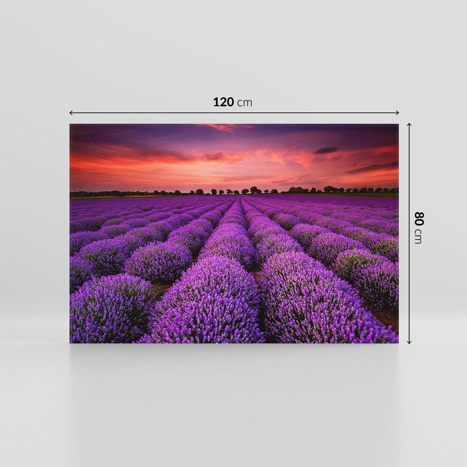 Obraz na płótnie 120x80 - Lawenda: polne zauroczenie - lawenda, kwiaty