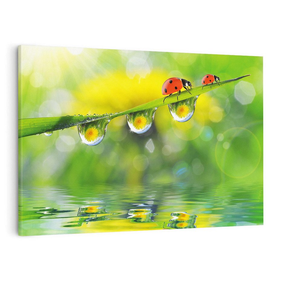 Obraz na płótnie 120x80 - Deszczowa Biedronka - biedronka, deszcz