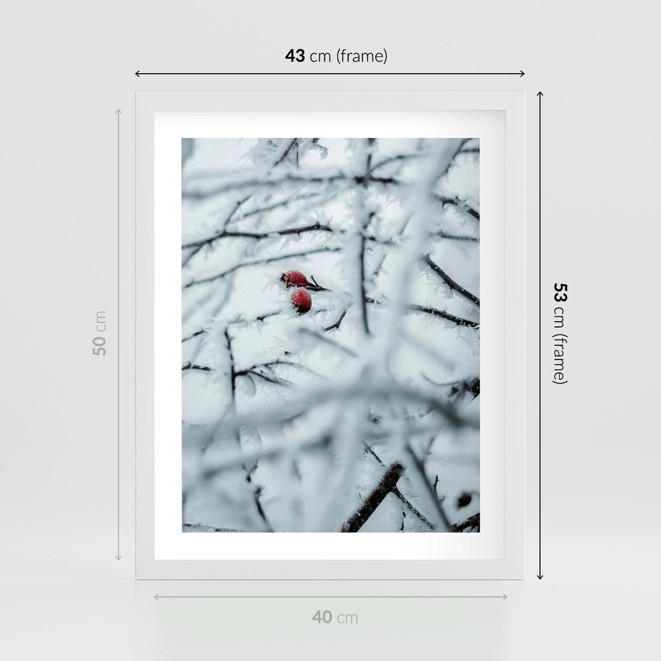 Plakat w ramie 40x50 - Zima w Detalu: Gałęzie ze Szronem i Śniegiem - śnieg, zima - rama biała
