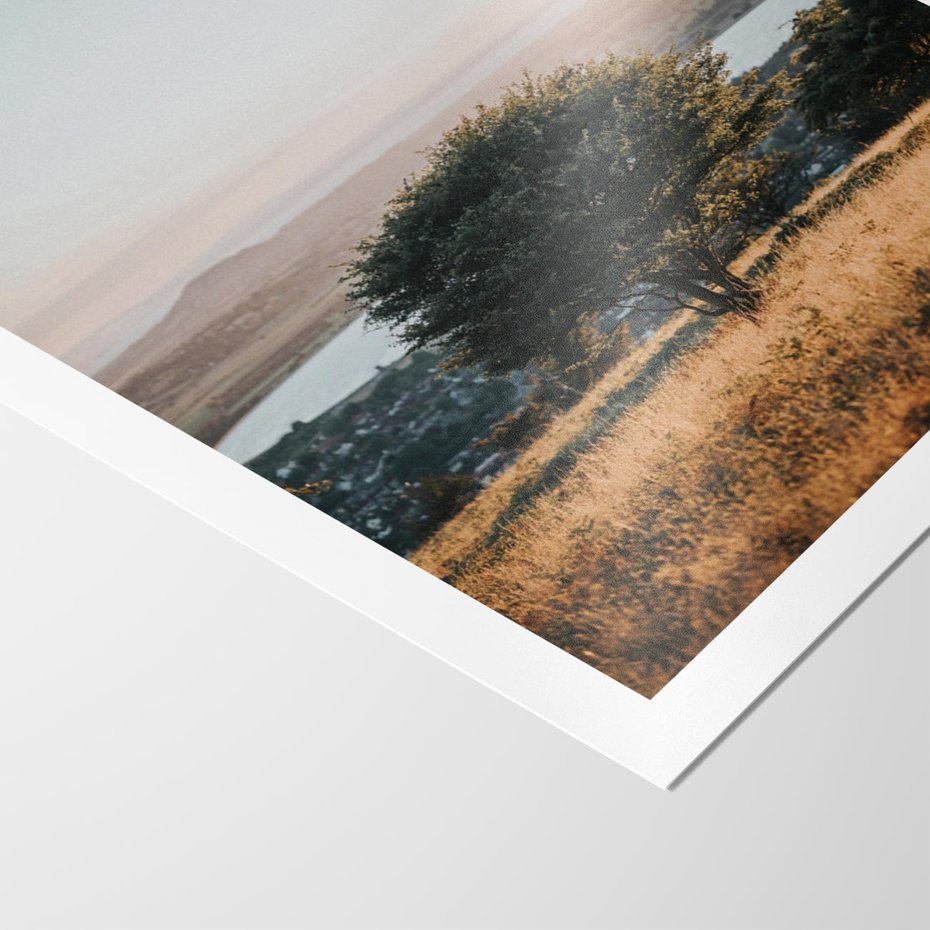 Plakat bez ramy 21x30 - Siła Natury - drzewo, pejzaż