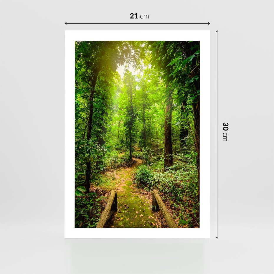 Plakat bez ramy 21x30 - Współistnienie z naturą - drzewa, las