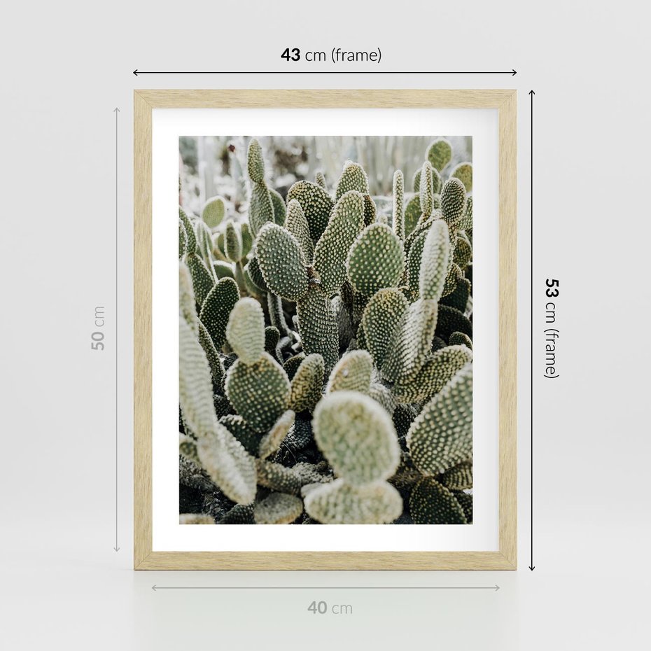 Plakat w ramie 40x50 - Kaktusowa Harmonia - kaktusy, fotografia - rama drewno