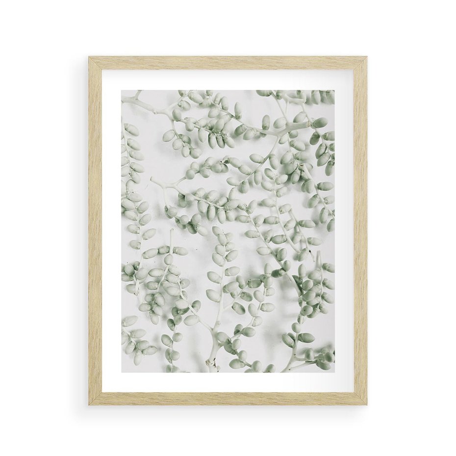 Plakat w ramie 40x50 - Delikatność Zieleni - zielone gałązki, listki - rama drewno