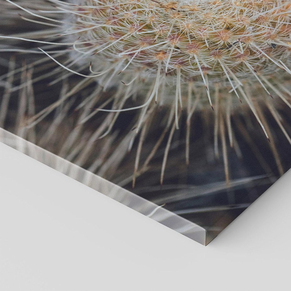 Obraz na płótnie 50x70 - Ulotna Piękność Natury - makro, dmuchawce