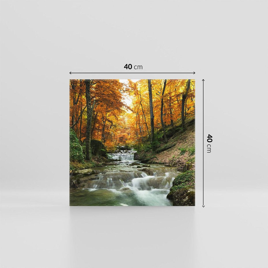 Obraz na płótnie 40x40 - Urok lasu: drzewa i strumyk w harmonii - las, drzewa