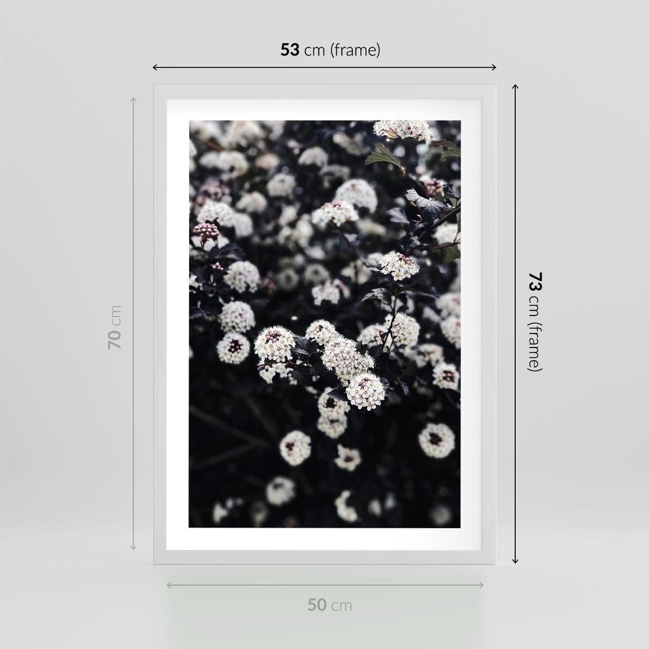 Plakat w ramie 50x70 - Białe Kwiaty na Kwitnącym Krzewie - białe kwiaty, kwitnący krzew - rama biała