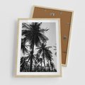 Plakat w ramie 50x70 - Mono Tropiki - palmy, drzewa palmowe - rama drewno