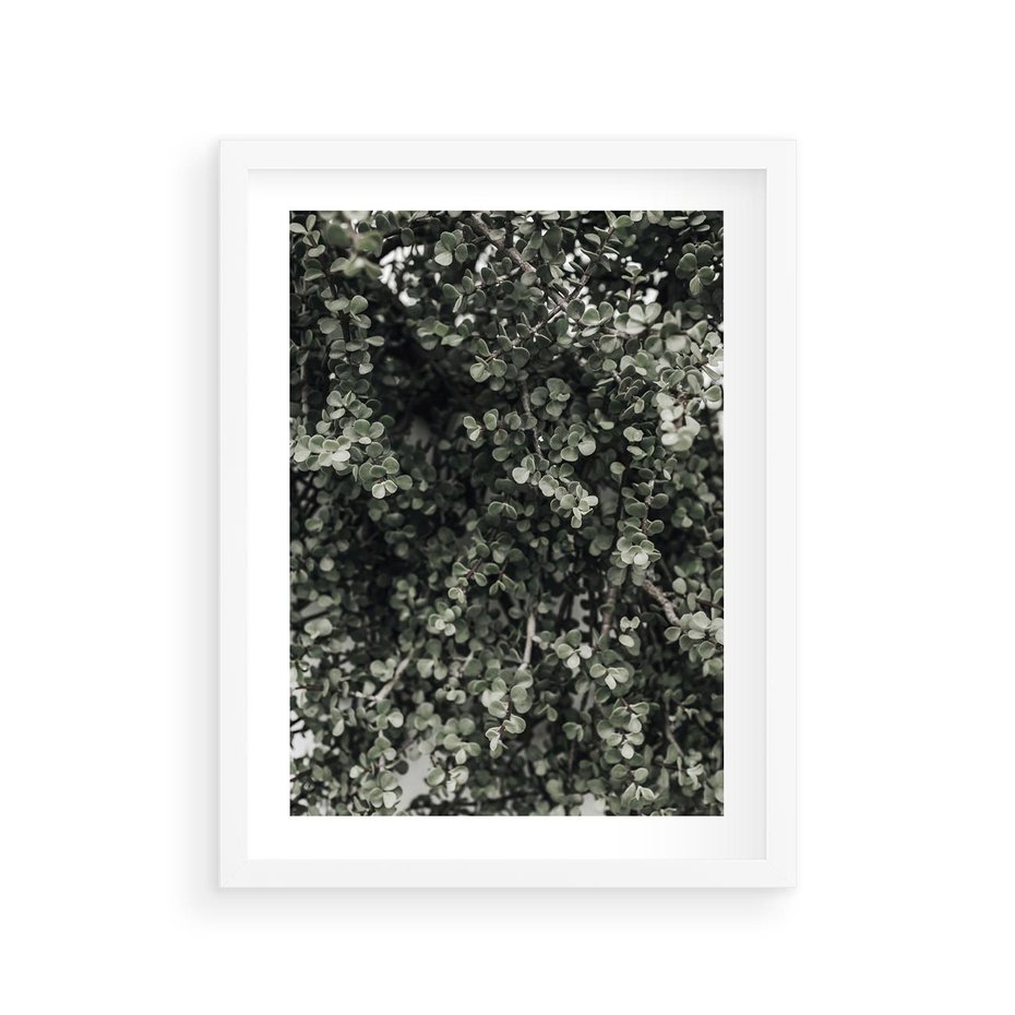 Plakat w ramie 30x40 - Jasnozielone Liście i Gałązki - liście, gałązki - rama biała