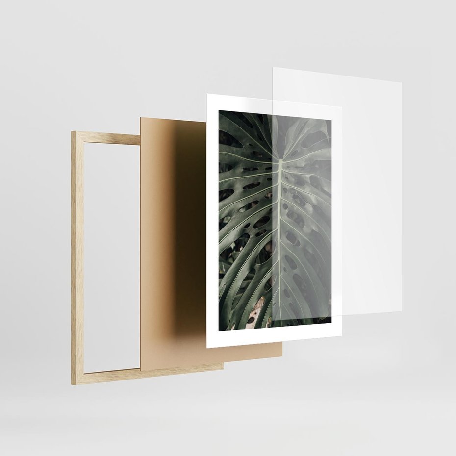 Plakat w ramie 30x40 - Majestatyczny Liść Monstery - liść monstery, majestatyczny liść - rama drewno