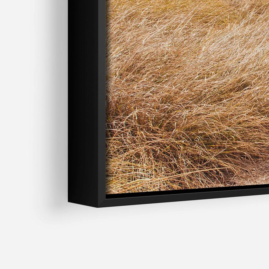 Obraz w ramie 100x70 - Tajemnicza Ścieżka - latarnia morska w oddali, suche trawy - rama czarna