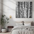Obraz na płótnie 40x40 - Kontrast Monochromatyczny - brzozy, czarno