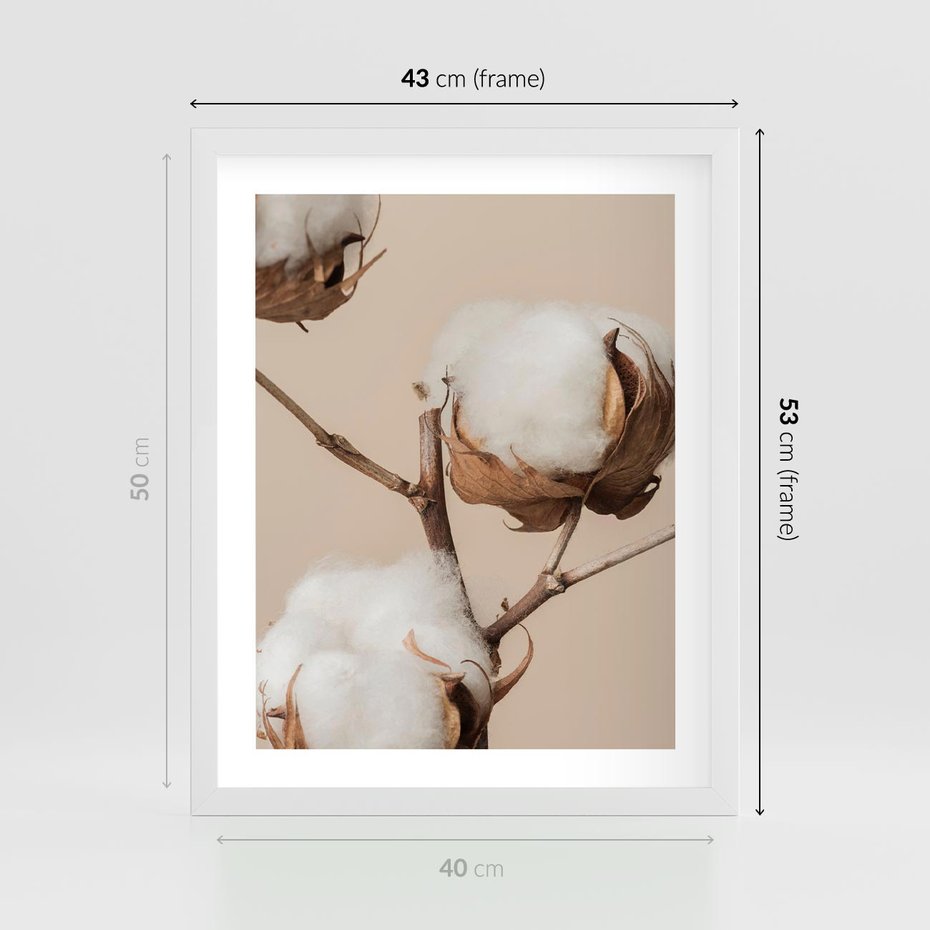 Plakat w ramie 40x50 - Bawełniana melancholia - bawełna, suche - rama biała