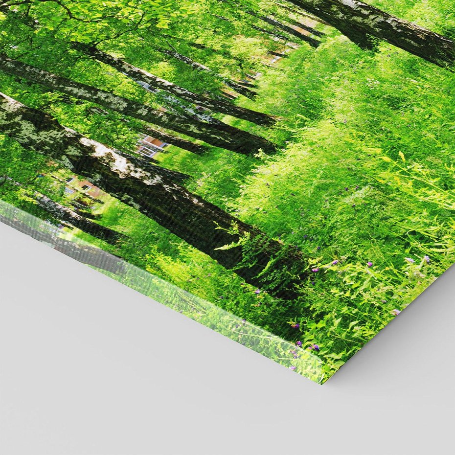 Obraz na płótnie 120x80 - odkryj piękno drzew - las, drzewa