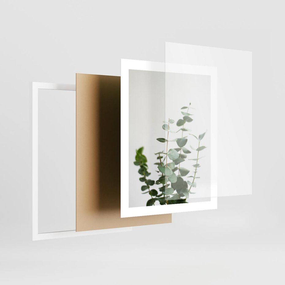 Plakat w ramie 40x50 - Żywa eukaliptusowa zieleń - eukaliptus, zielone - rama biała
