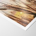 Plakat bez ramy 30x40 - Malownicza Łąka z Trawam - trawy, łąka