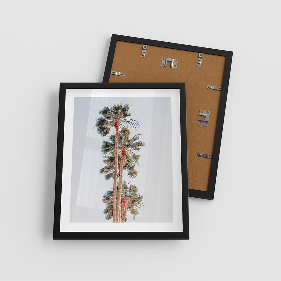 Plakat w ramie 40x50 - Kształty Palm - palmy, zdjęcie - rama czarna