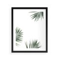 Plakat w ramie 40x50 - Liście Palmy na Czystym Tle - liście palmy, białe tło - rama czarna