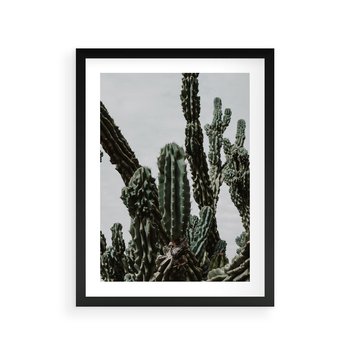 Plakat w ramie 40x50 - Boho oaza wśród kaktusów - kaktusy, pustynia - rama czarna