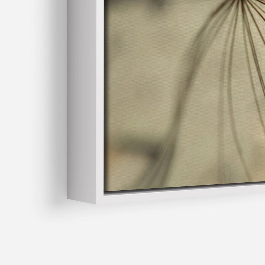 Obraz w ramie 80x80 - Delikatność dmuchawców - dmuchawce, krople - rama biała