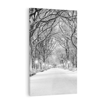 Obraz na płótnie 80x120 - cisza wśród drzew - zima, park