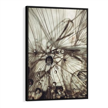 Obraz w ramie 50x70 - Lekkie dmuchawce - dmuchawce, krople - rama czarna