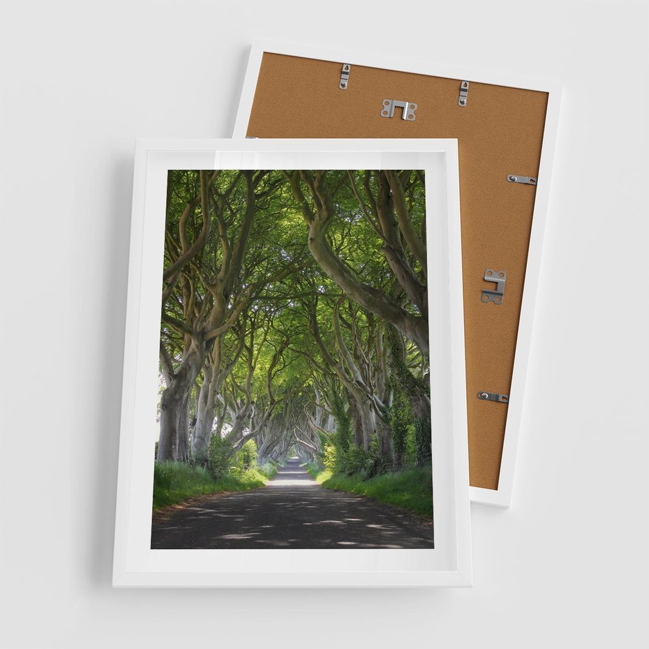 Plakat w ramie 50x70 - Magiczny Las - drzewa, las - rama biała