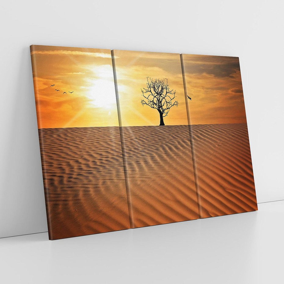 Obraz na płótnie 120x80 - Pustynia - Drzewo i słońce - pustynia, drzewo