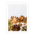Plakat bez ramy 50x70 - Suche Żółte Liście w Malowniczym Ujęciu - liście, żółte