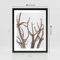 Plakat w ramie 40x50 - Pustynna Harmonia Gałęzi - pustynna roślina, suche gałęzie - rama czarna