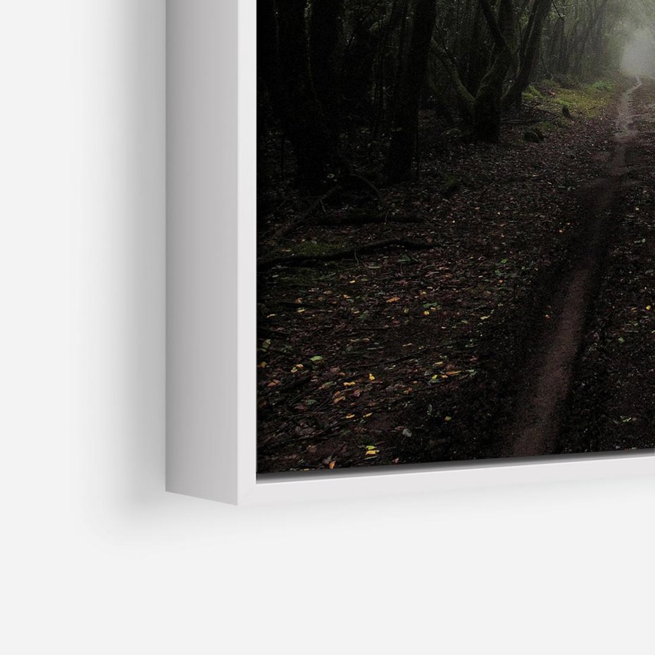 Obraz w ramie 50x50 - Urok Drogi - las, droga - rama biała