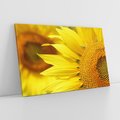 Obraz na płótnie 100x70 - Słoneczniki: Promień nadziei - słoneczniki, kwiaty