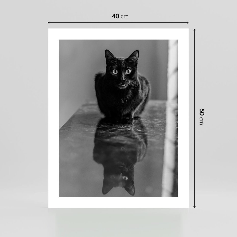Plakat bez ramy 40x50 - Kocie Oczy - kot, czarno białe zdjęcie