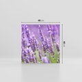 Obraz na płótnie 40x40 - Urok lawendy - lawenda, kwiaty