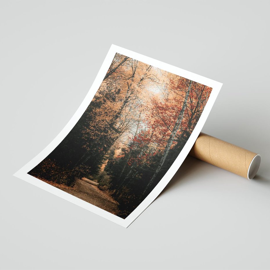 Plakat bez ramy 50x70 - Drzewa w Czerwonych Liściach - las, jesienny las