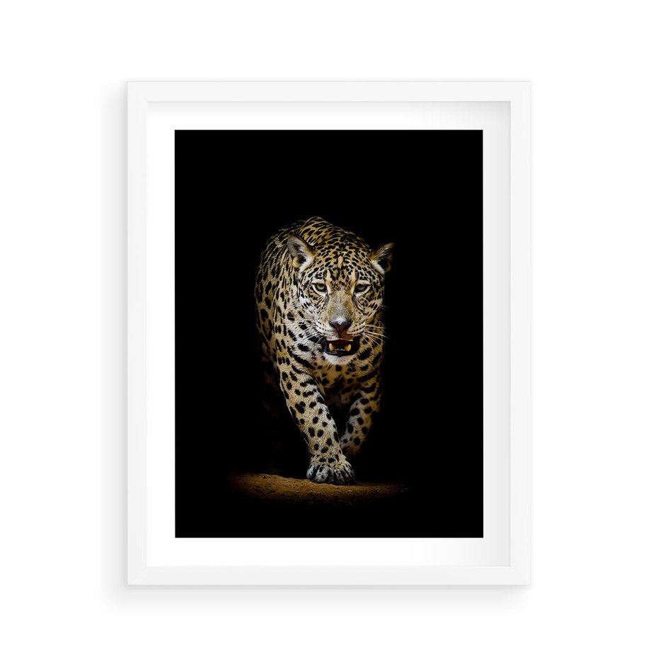 Plakat w ramie 40x50 - Elegancja lamparta - lampart, pantera - rama biała