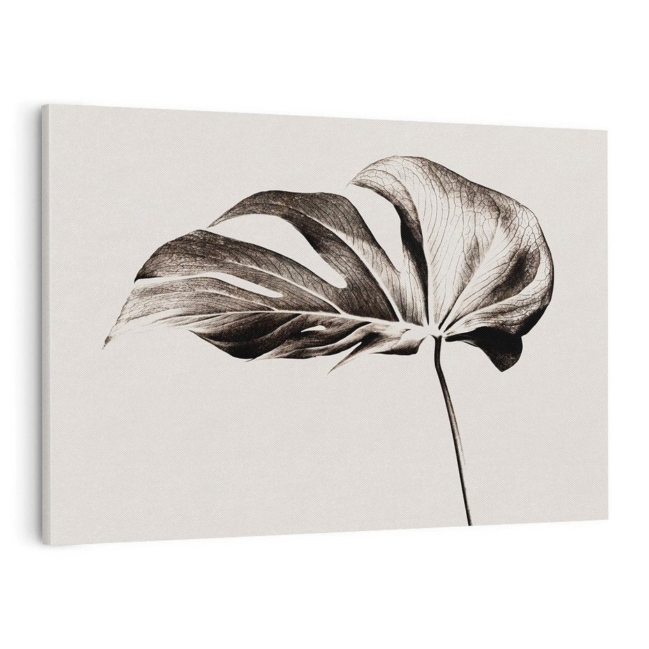 Obraz na płótnie 100x70 - Szapczący Liść - szkic, czarno biały