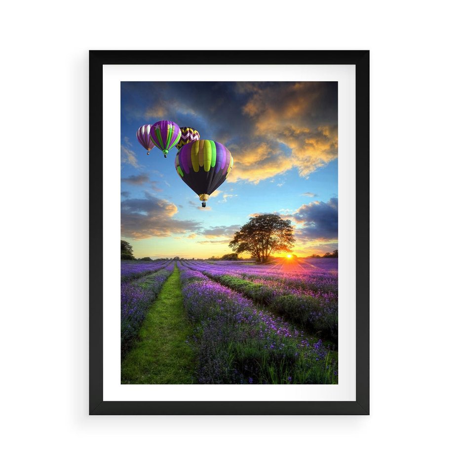 Plakat w ramie 50x70 - Lawendowe Marzenia - lawenda, balony - rama czarna