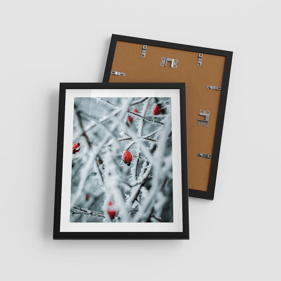 Plakat w ramie 40x50 - Zima na Gałęziach - zima, oszronione gałęzie - rama czarna