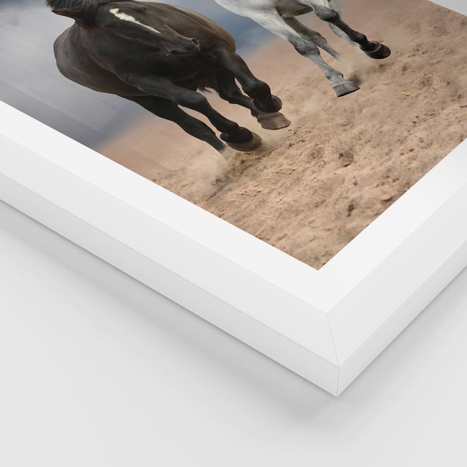 Plakat w ramie 50x70 - Siła koni w galopie - konie, galop - rama biała