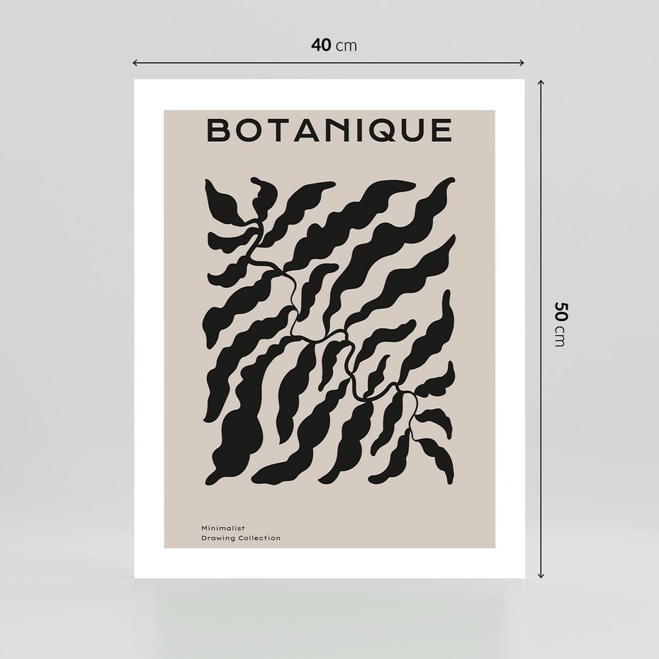 Plakat bez ramy 40x50 - Księga Odbić - abstrakcyjne liśćie, roślinne motywy