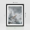 Plakat w ramie 40x50 - Piękno w Delikatności - dmuchawiec, makro zdjęcie - rama czarna