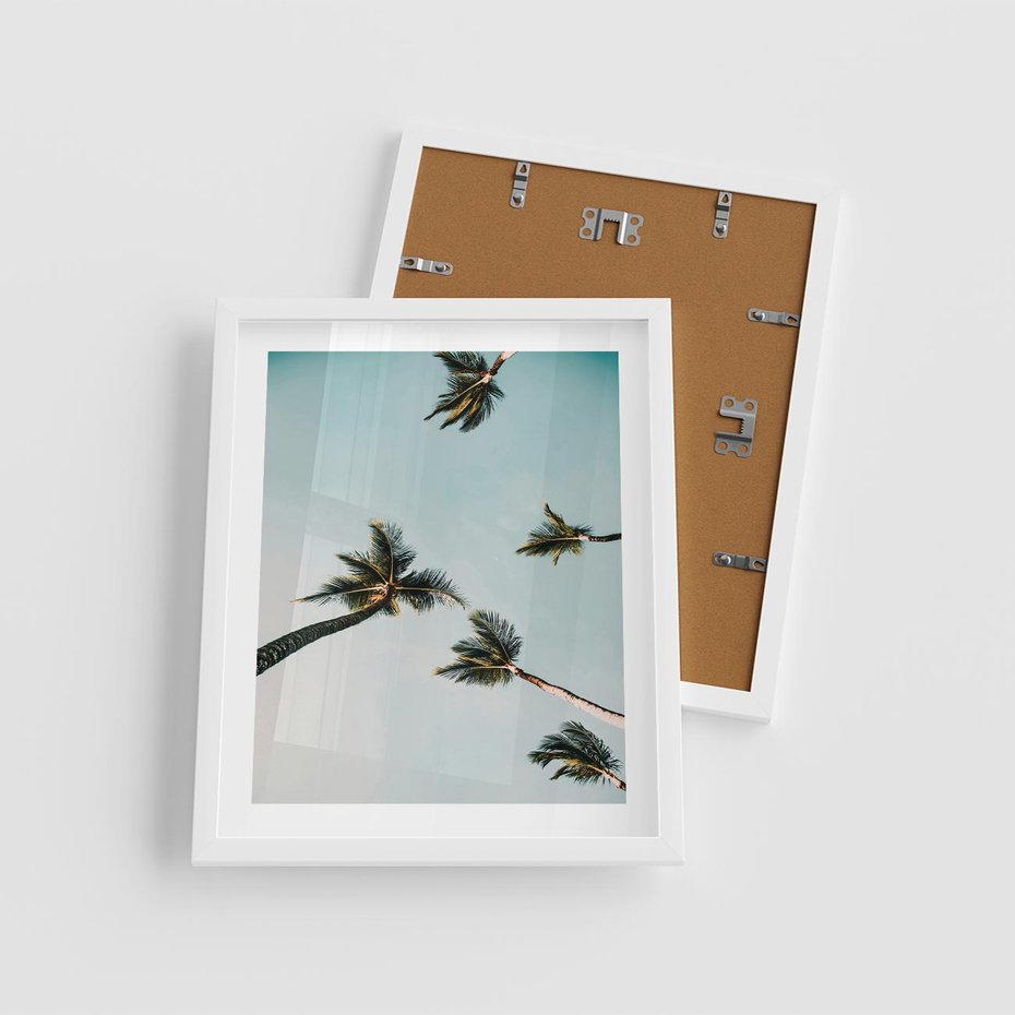 Plakat w ramie 40x50 - Palmy i Niebo - palmy, ujęcie z dołu - rama biała