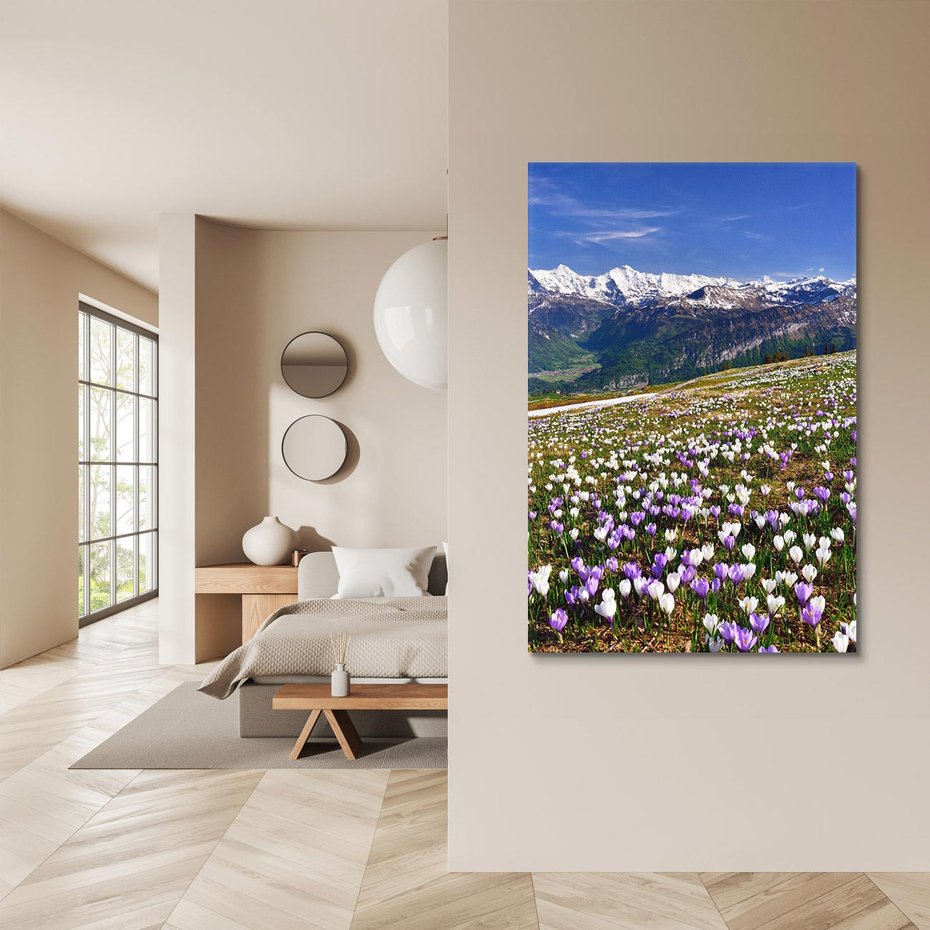 Obraz na płótnie 50x70 - Wiosenne Czarowanie - krokusy, góry