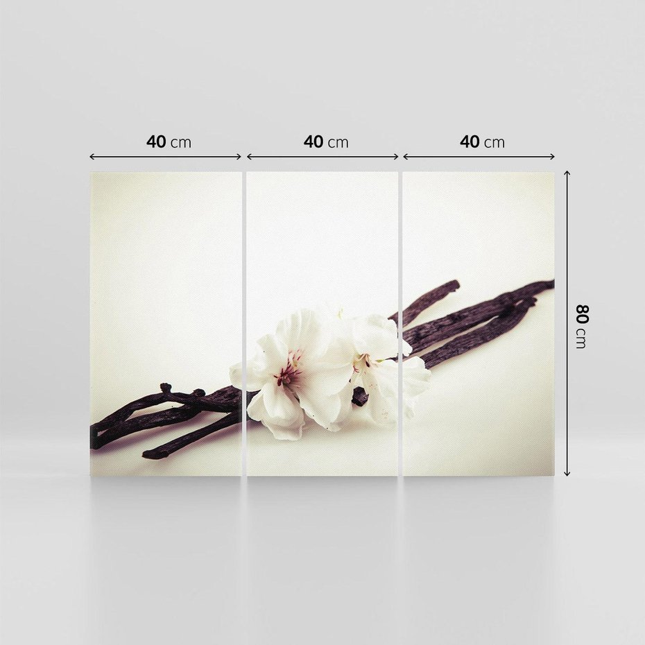Obraz na płótnie 120x80 - Czuła delikatność wanilii - wanilia, kwiaty