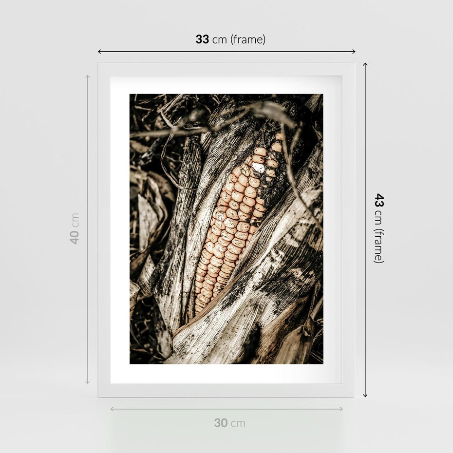 Plakat w ramie 30x40 - Kukurydza w Jesiennej Scenie - kukurydza, jesień - rama biała