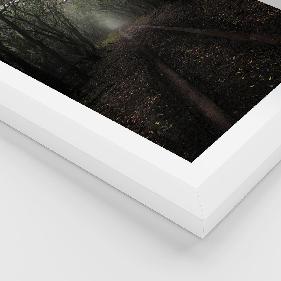 Plakat w ramie 40x50 - Urok Drogi - las, droga - rama biała